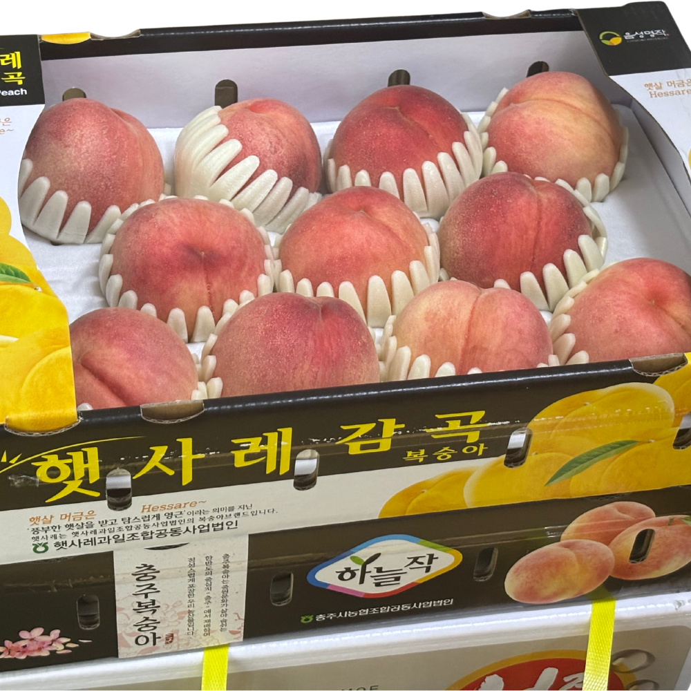 (항공 직송!) 프리미엄 한국산 백도 복숭아 1 Box (10~12 pcs)