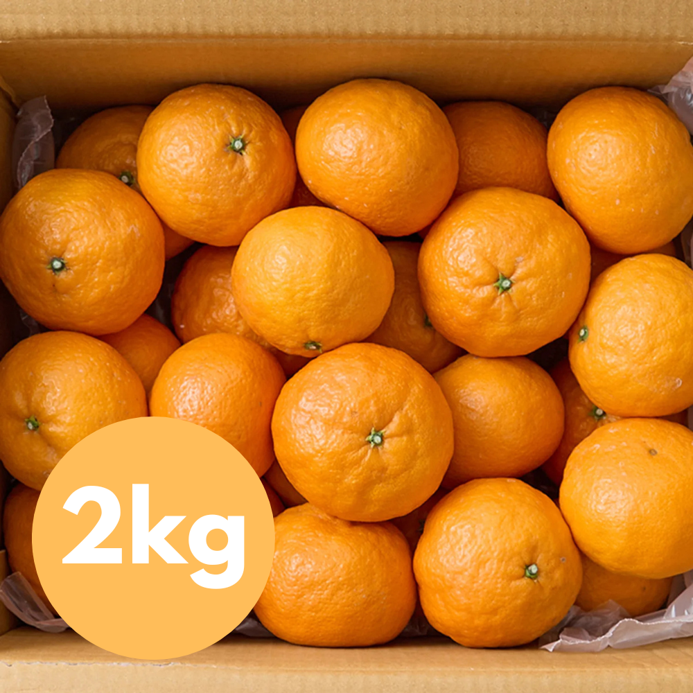 Korean Jeju Kara Mandarin 2kg (10~11ea)