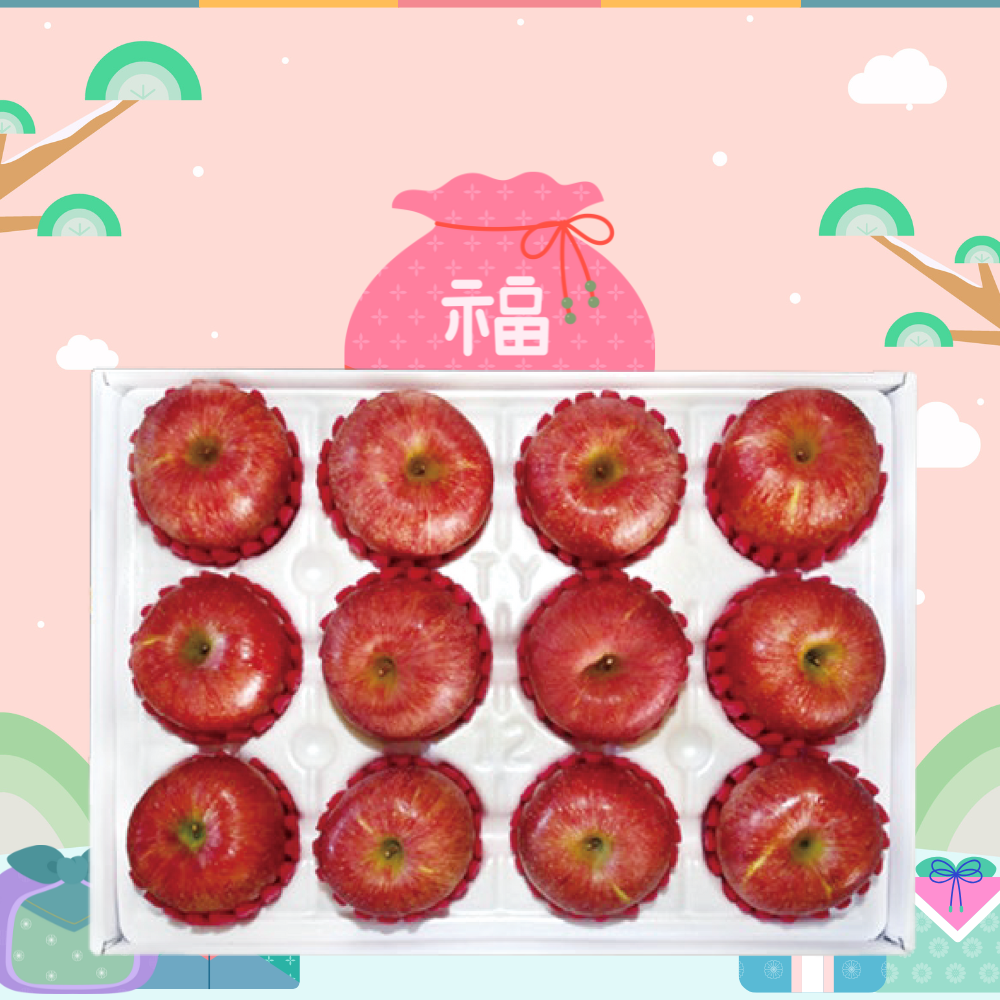 한국 청송 사과 명절 선물세트 5kg (2월9일부터 선착순 배송)