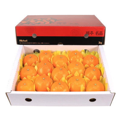 한국 제주 천혜향 3kg