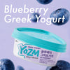 [YOZM] Blueberry Greek Yogurt 100g