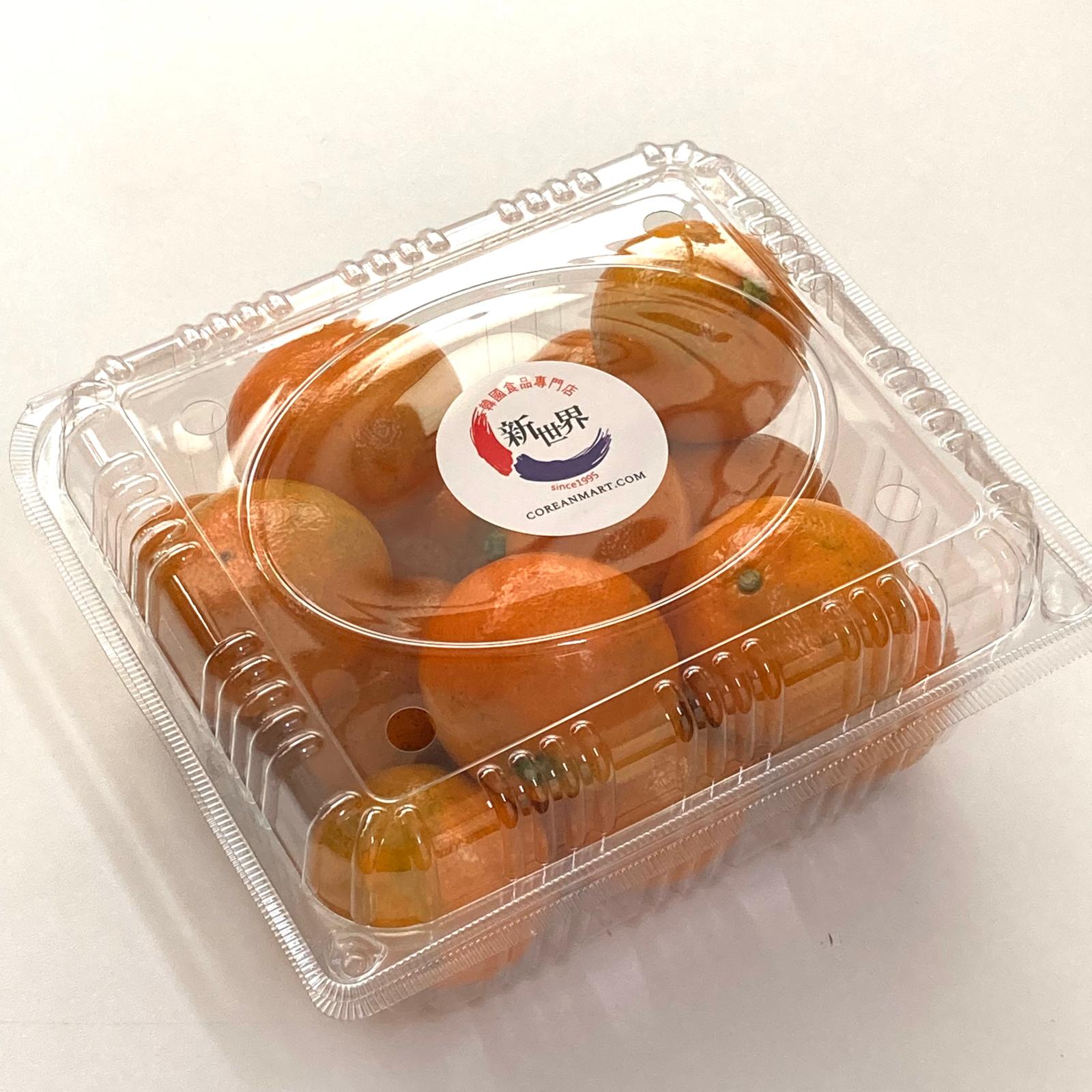 韓國濟州柑 (500g~1kg)