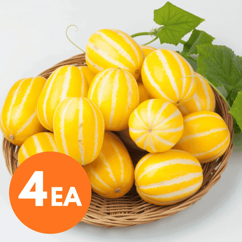 Korean Oriental Melon 4ea