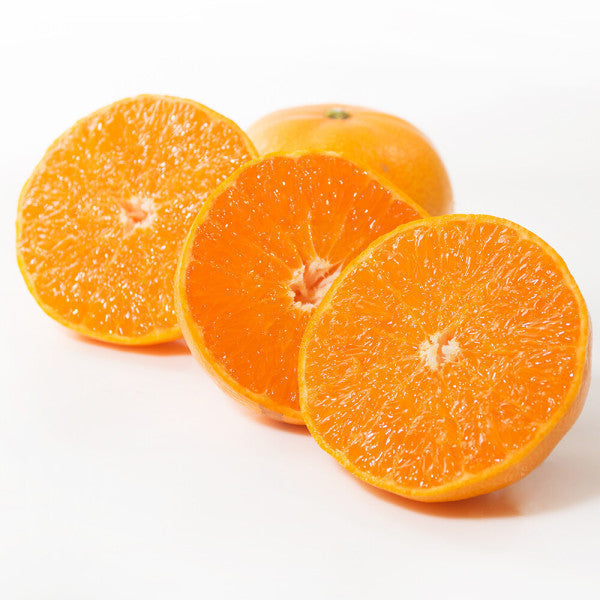 한국 제주 레드향 감귤 1ea