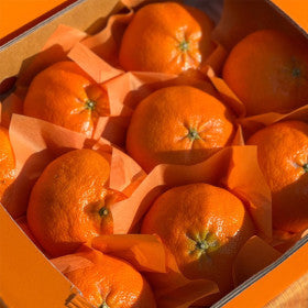 Korean Jeju Red Hyang Mandarin 3kg