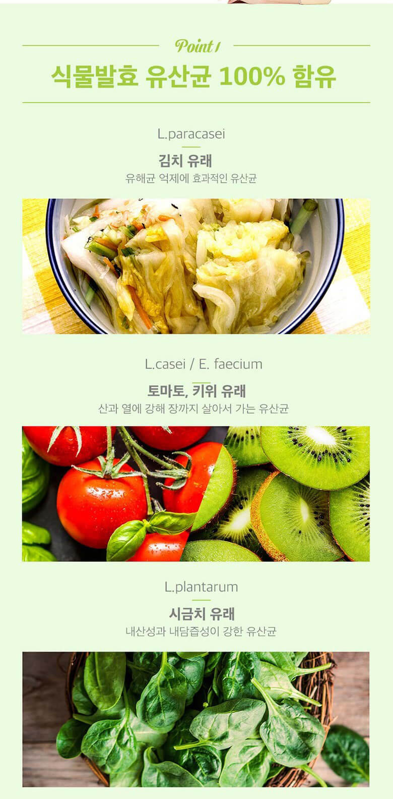 韓國食品-[CKDHC] Lacto-Fit Green 乳酸菌 120g(2g*60包)