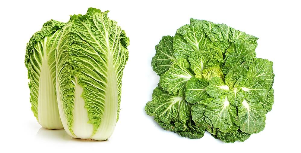 韓國食品-Seasoned cabbage 1kg