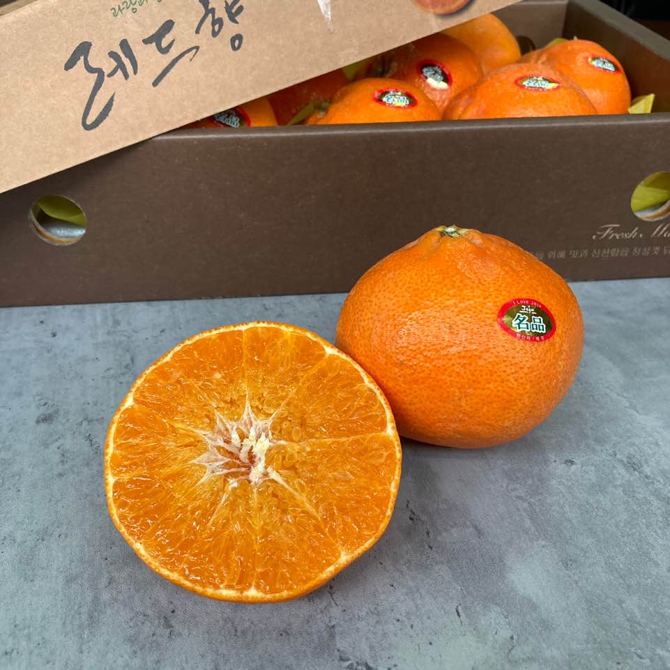 韓國食品-Red Hyang Mandarin 3kg (9-10pcs) (Gift set start delivery from 25th January 2022)