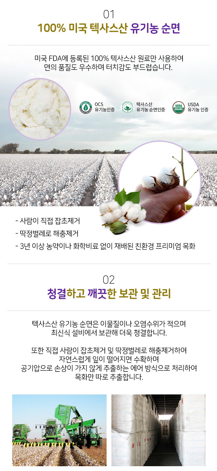 韓國食品-[Organic Bon] 金裝有機純棉護墊 [普通155mm] (40片)