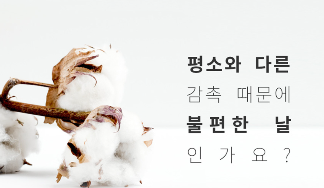 韓國食品-[Daywith] Ultra Slim Cotton Cover 18cm 2p