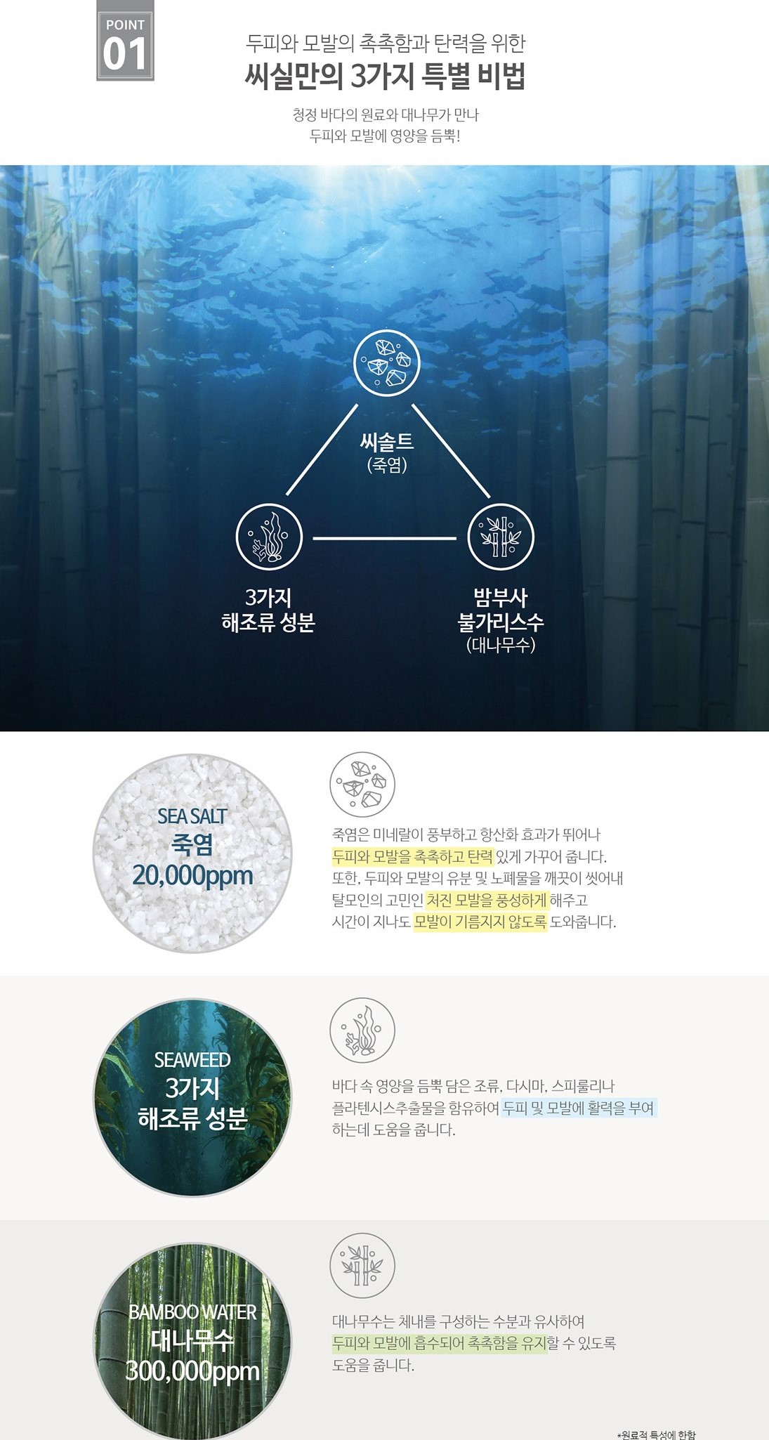 韓國食品-[SeaSeal] 竹鹽礦物抗脫髮洗髮水 490ml