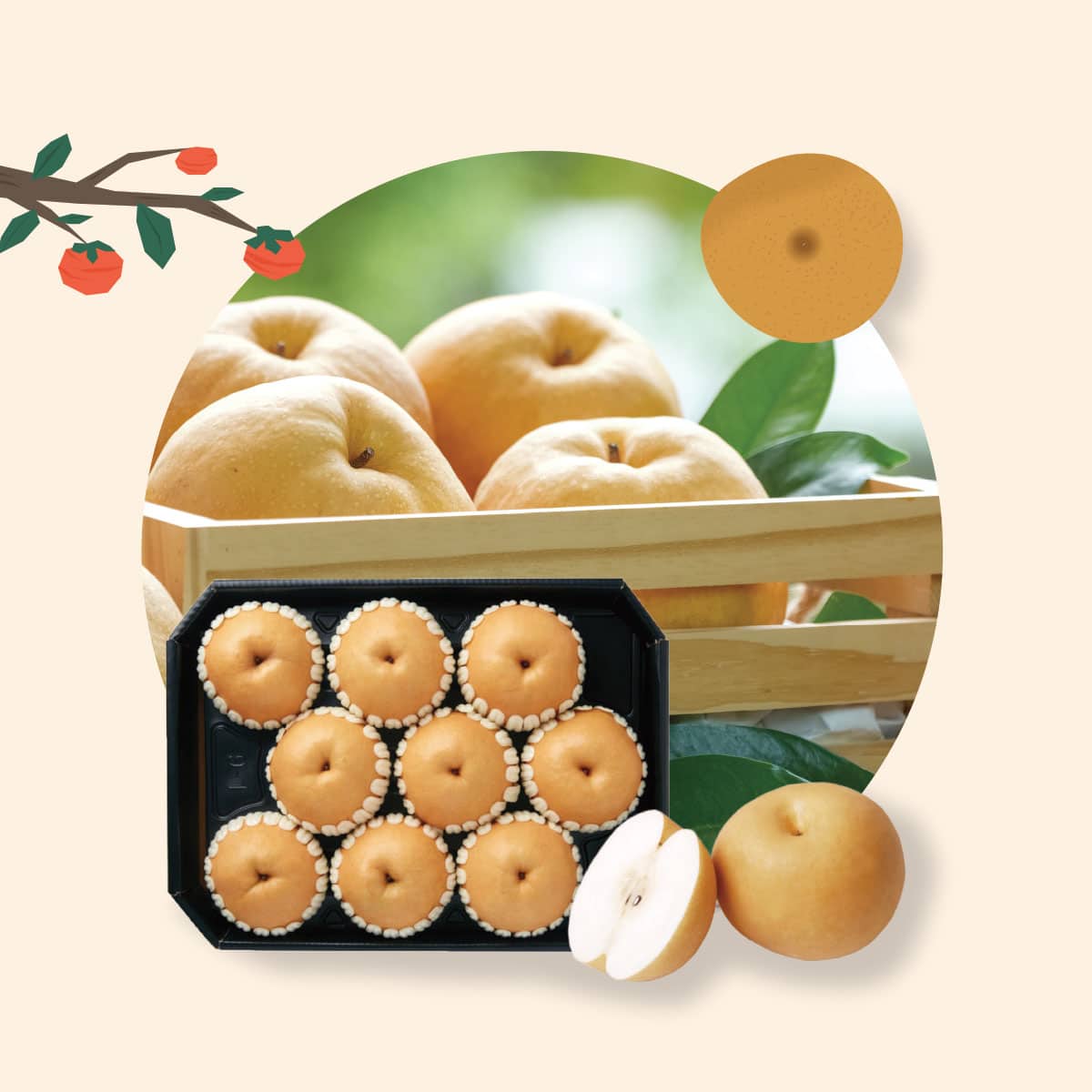 韓國食品-Korean Pear Set (6-7pcs, 5Kg) (Delivery starts from 2nd Feb 2024)