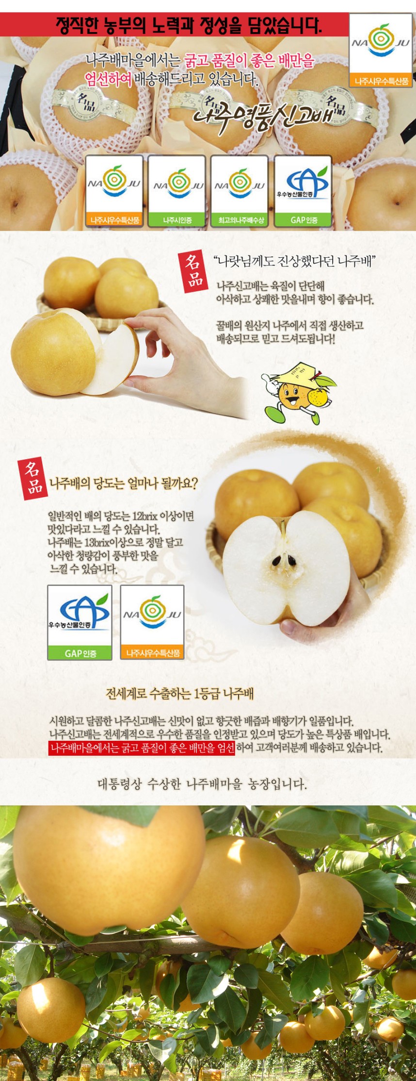 韓國食品-[$70 for 2ea ] 배사랑 우리배 명품배 1ea
