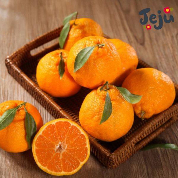 韓國食品-Korean Jeju Citrus (Hallabong) 3kg (8-10pcs) (Delivery starts from 20th January 2025)